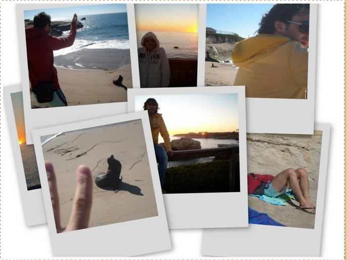 COLLAGE_SANTA_CRUZ COLLAGE_SANTA_CRUZ