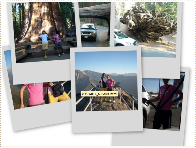 collage_sequoia collage_sequoia