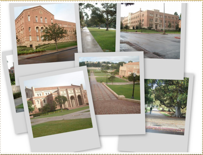 collage_ucla collage_ucla