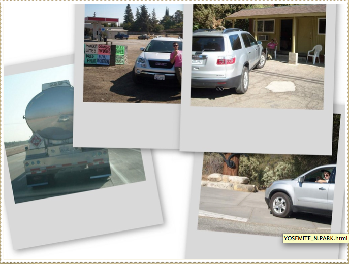 colllage_sequoia_2 colllage_sequoia_2